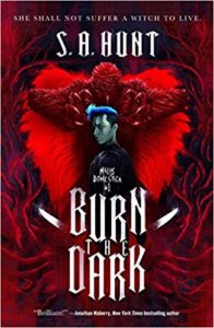 burn the dark by s a hunt