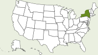 new york map